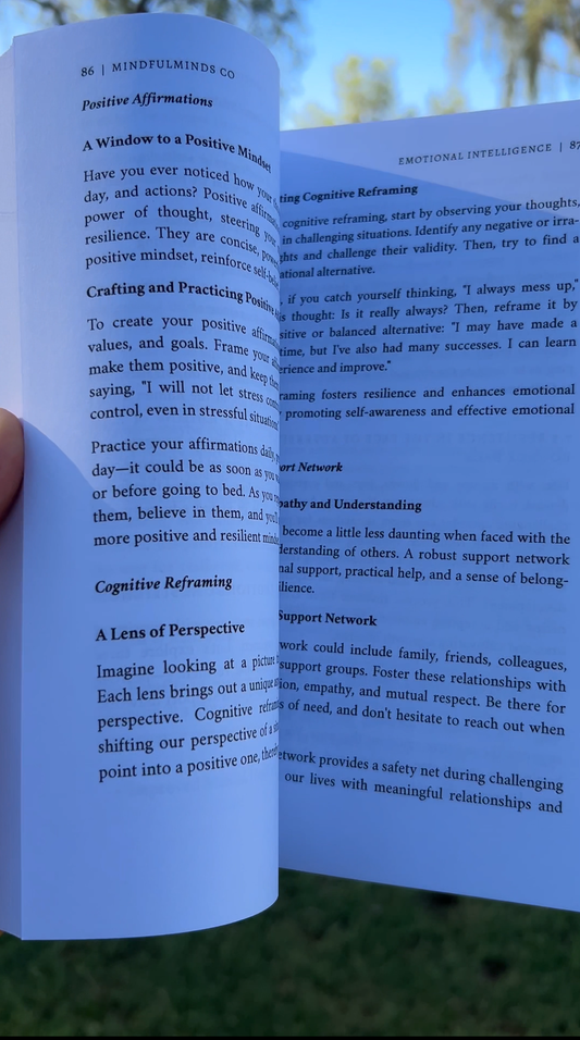 Emotional Intelligence - Paperback