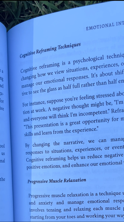 Emotional Intelligence - Paperback