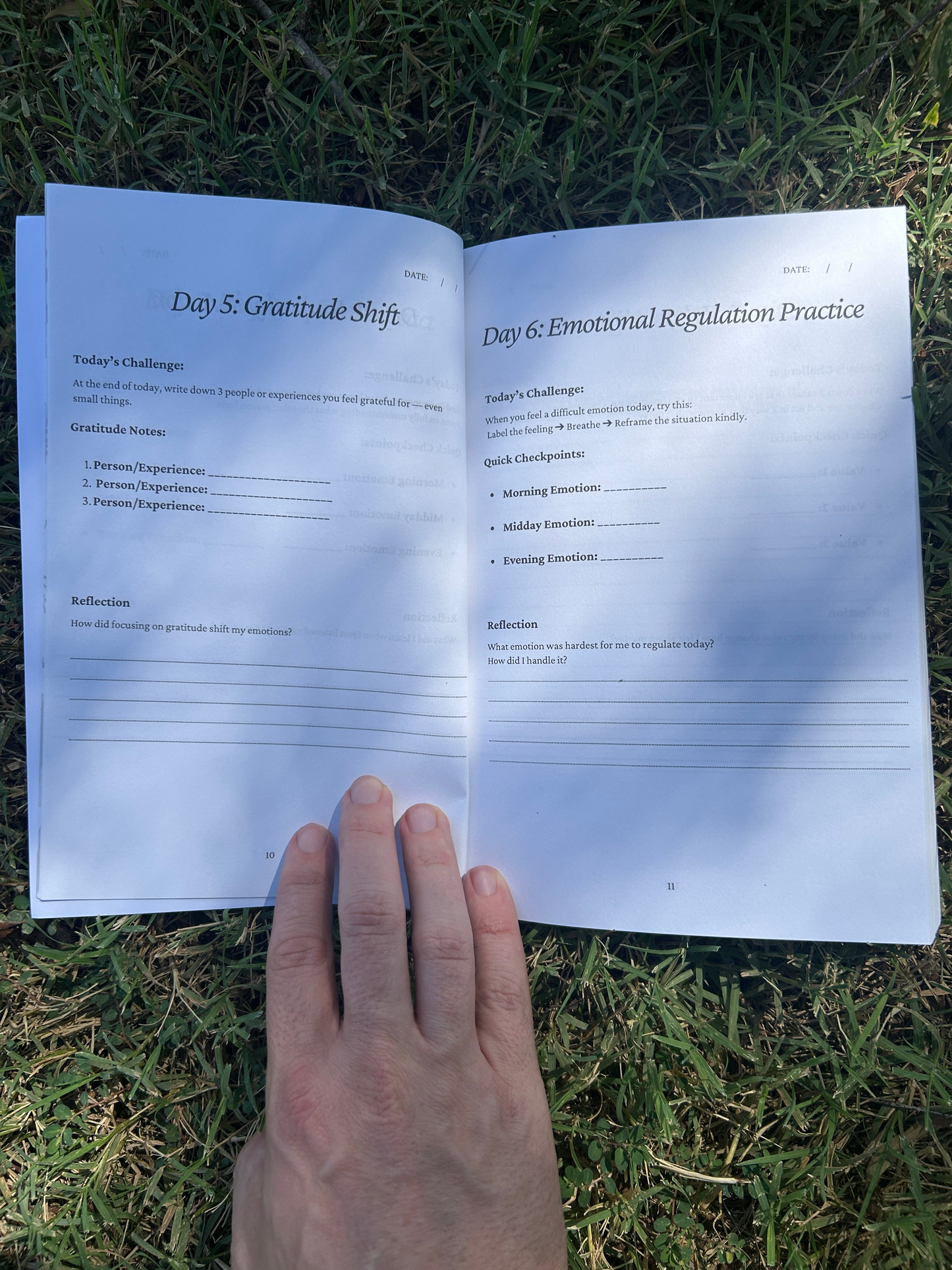 Emotional Intelligence Journal
